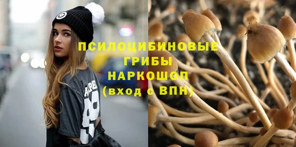 тгк Алексеевка